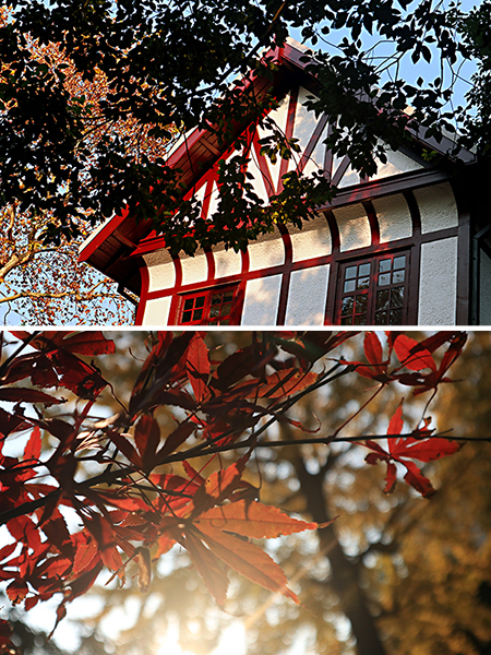 彭峥 -《红色的秋》.jpg